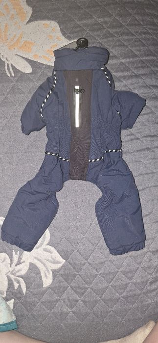 Костюм для маленьких собак