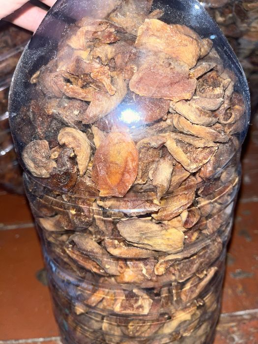 Сушеное курага (урюк)