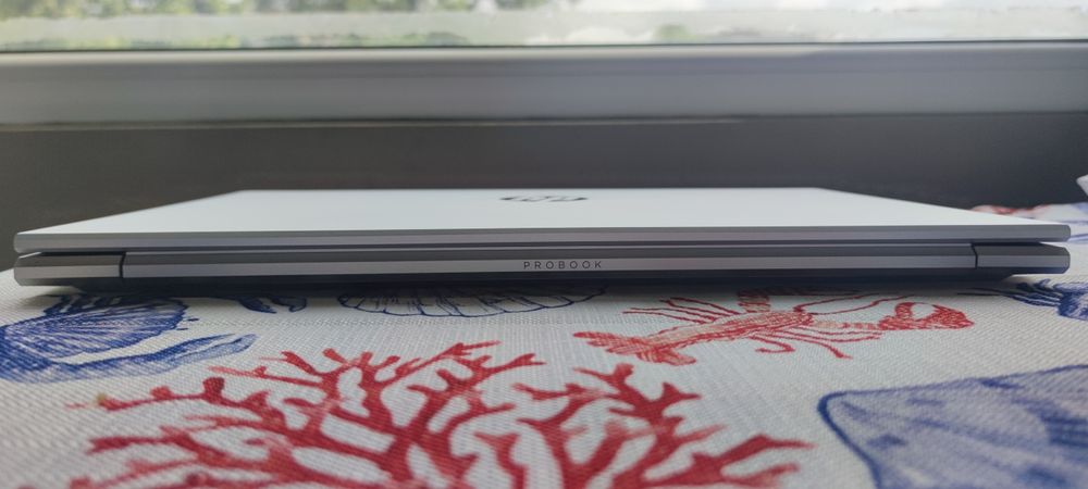 HP ProBook 455 G8 | Ryzen 5 5600U | 16GB RAM | 256GB SSD