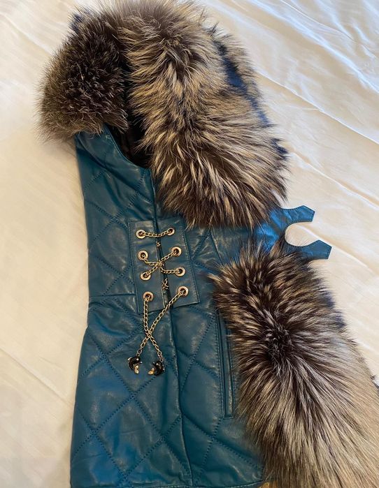 Vesta Carolina Desing