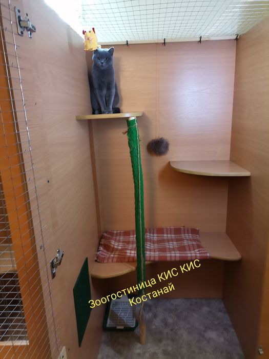 Зоогостиница КИС-КИС