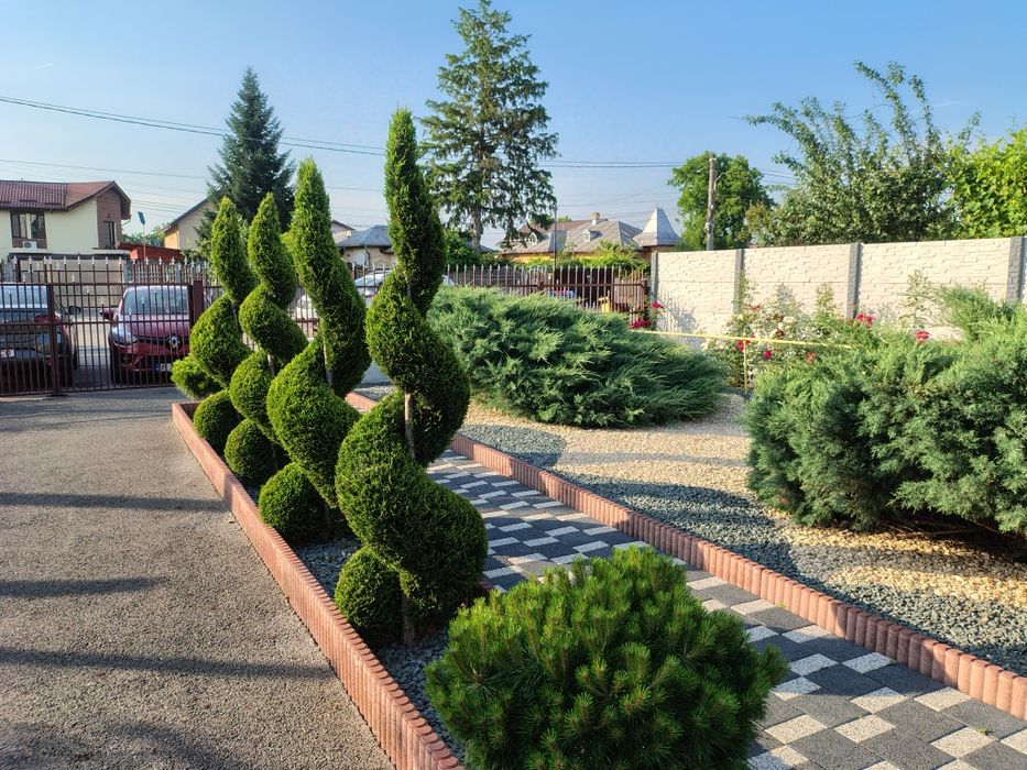 Montaj gazon 25 lei/m