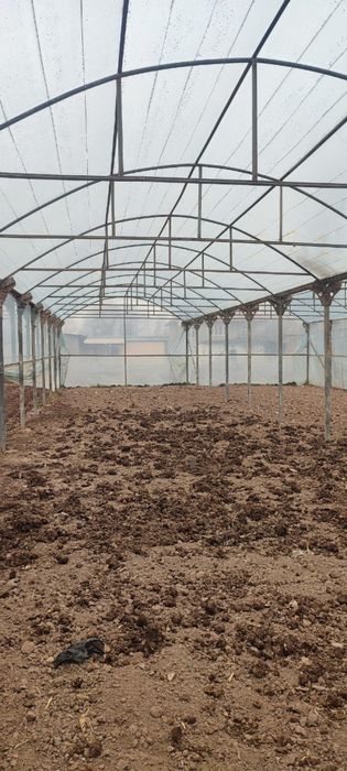 Issiqxona atsenkoviniy quramiz (парник)