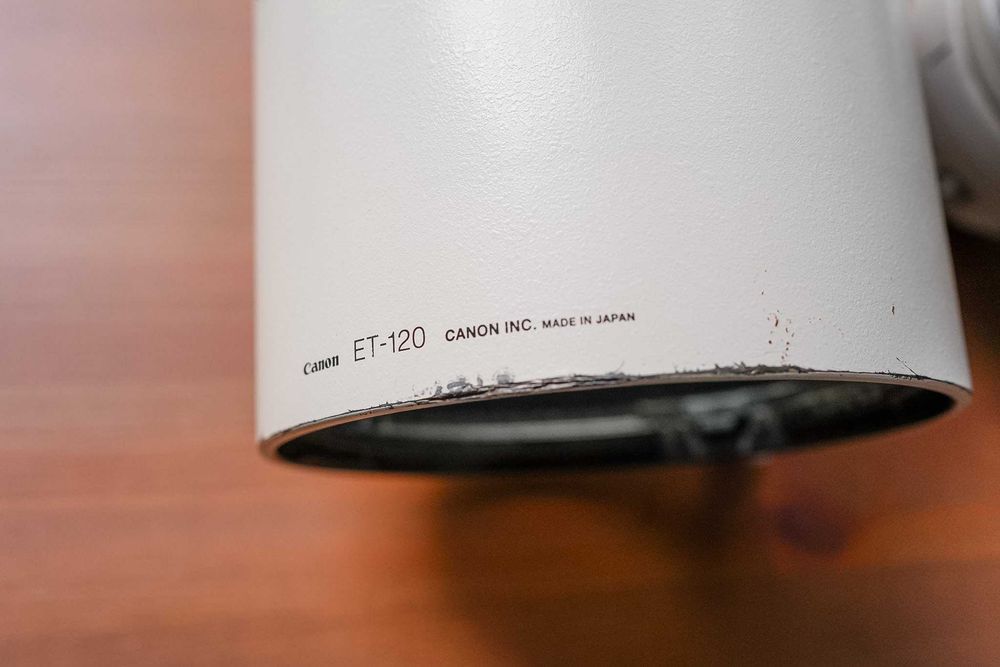 Canon EF 300mm f/2.8 L IS USM