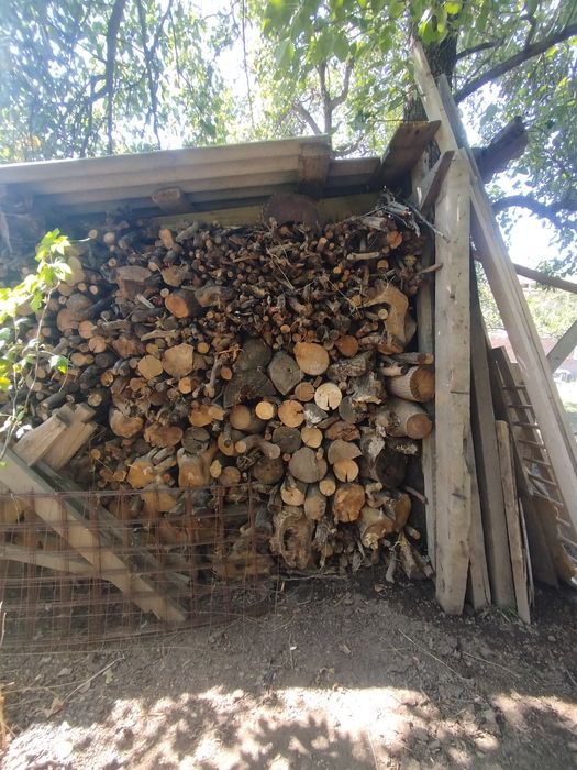 Продам дрова клён