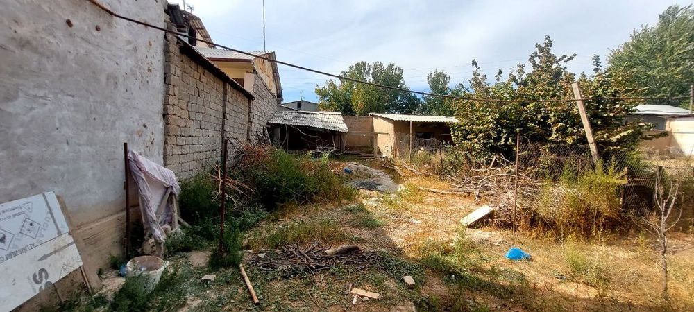 Прадайоса 12 сотик