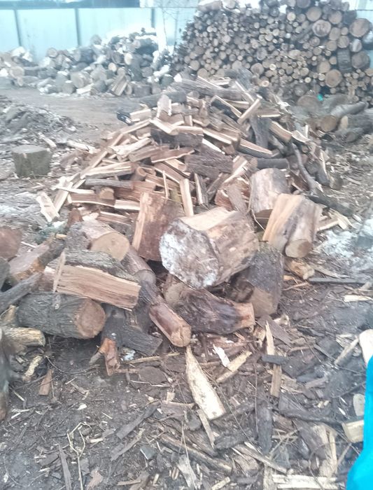 Дрова  карагач пополь