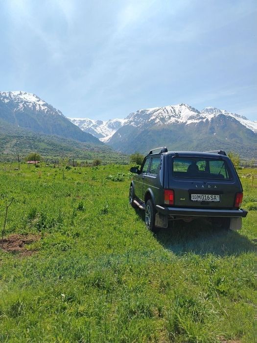 Niva srochna sotiladi! Yaxshi holatda