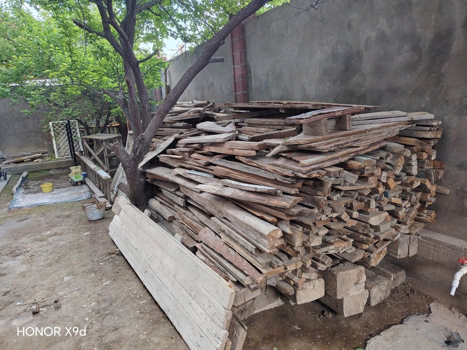 Chorniy patalokga yogoch