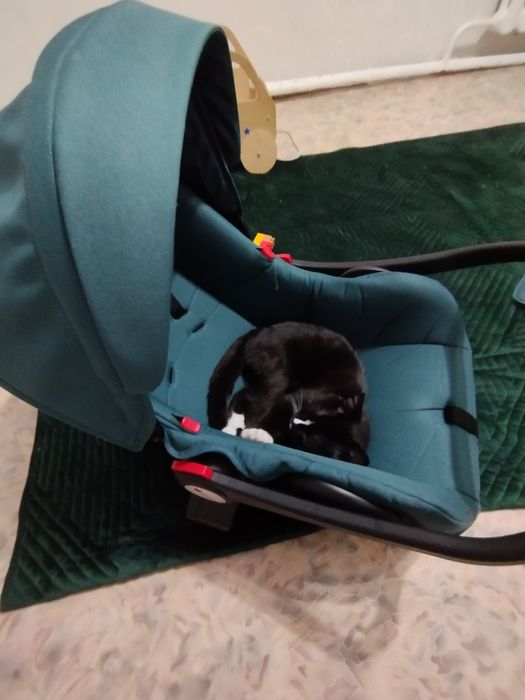 Продам детское автокресло