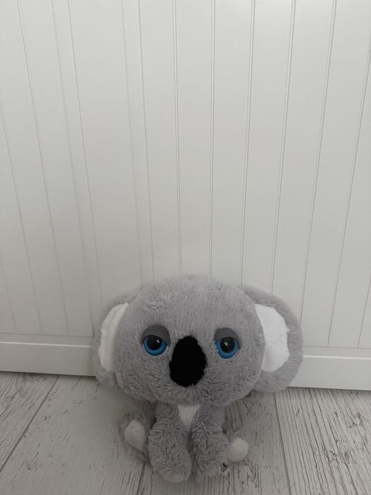 Plusuri - preturi variabile intre 5 lei si 30 lei