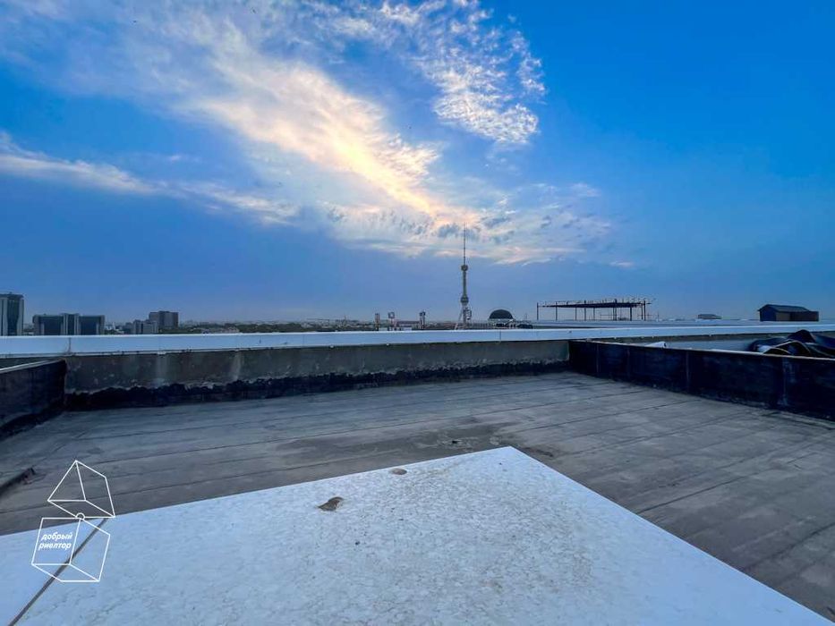 (Добрый) Бодомзор, 228 м² + терраса 100 кв, 9-10 этаж, Панорамный вид