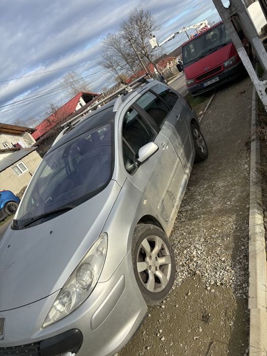 Vand schimb pegeut 307 full