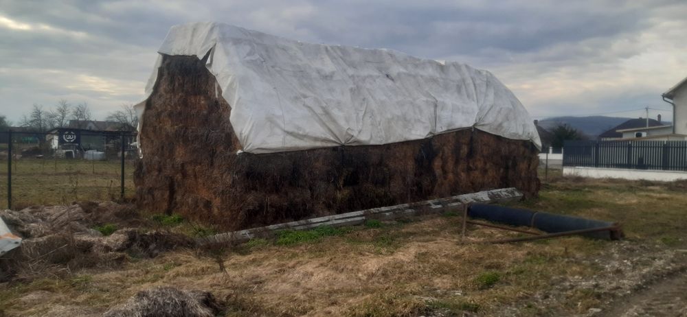 Baloti lucerna dreptunghiulari