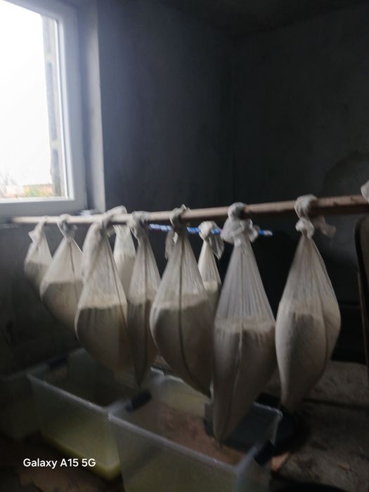 Vând  branza vaca  cantități mici și mari