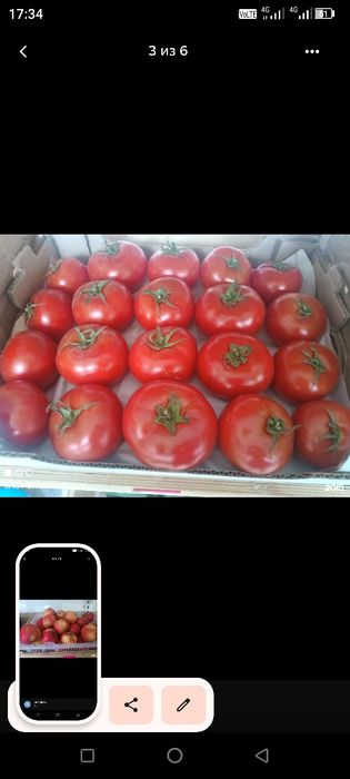 Продам овощи с доставкой до подъезда