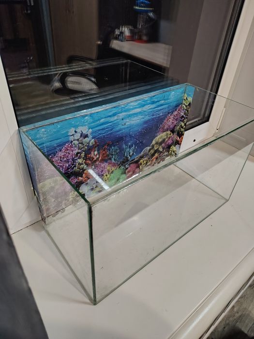 Продам аквариум со всем необходимым