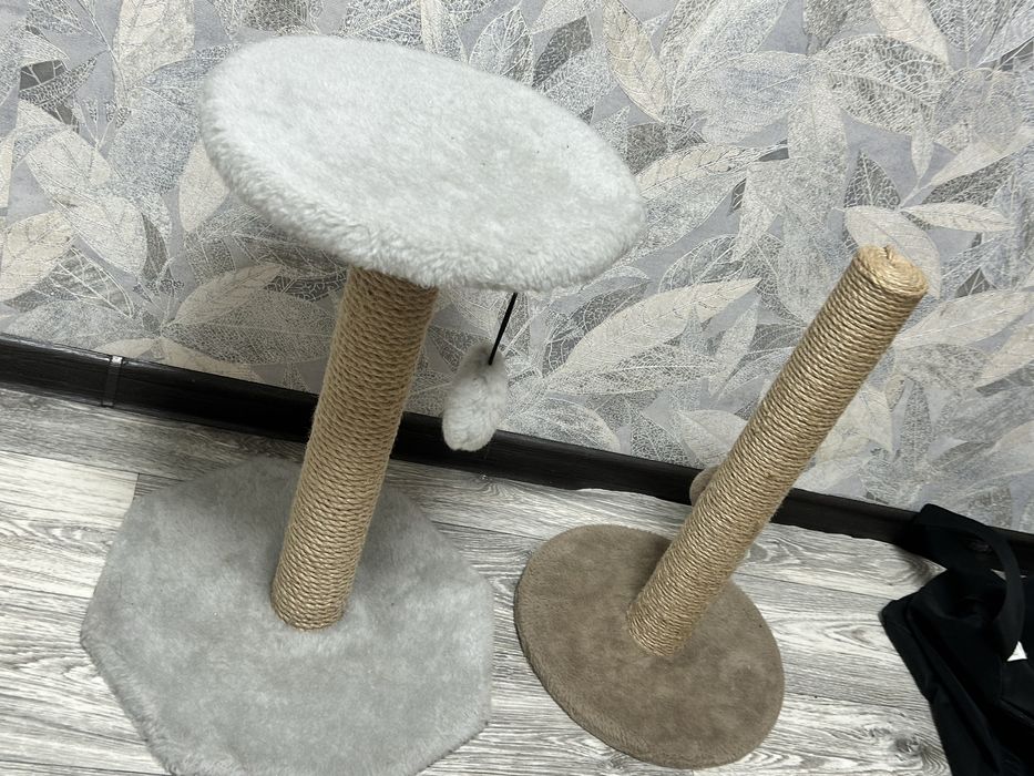 Когтеточки б/у 1 за 2500