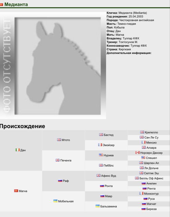 Таза қанды байтал