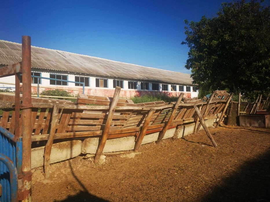 Продава се Промишлена сграда в Добрич, Дружба 3 - 1500 кв.м за 334 €/кв.м - Снимка #5