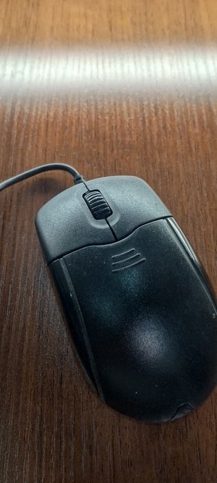 Мышка ишлаши зор