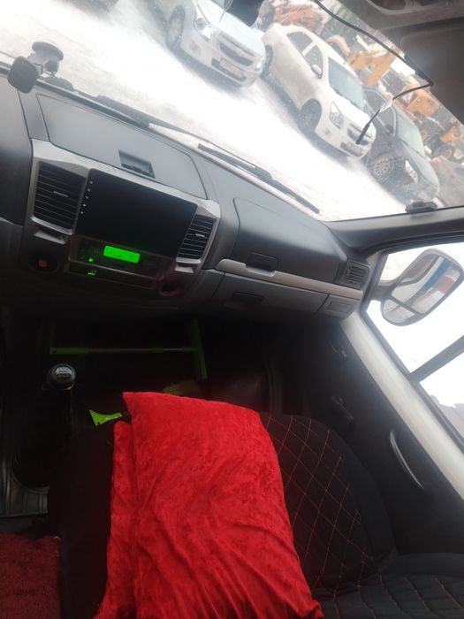 Бычки и телочки лошади