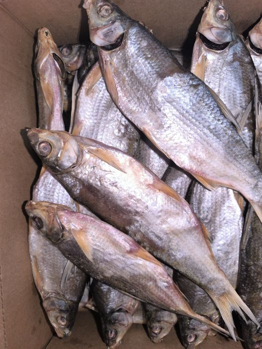 Рыбец сушенная подледный