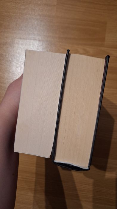 Umbra muntelui, Shantaram