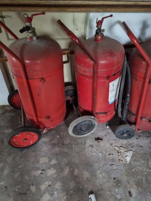 Instinctor bun pentru gratar