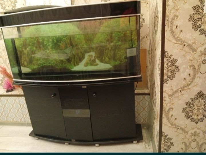 Akvarium baliqsiz