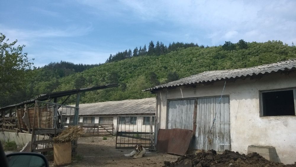 Продава се Парцел в Костенец - 14650 кв.м за 14 €/кв.м - Снимка #20