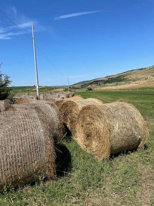 Vând baloți lucernă și fân