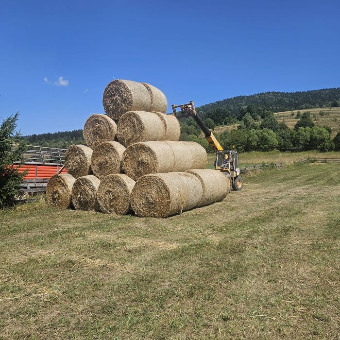 Baloti de paie de grau