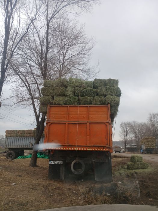 Жонышқа сатылады 3укос