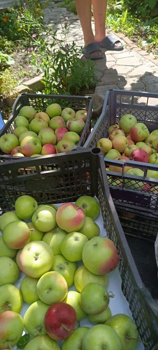 Продам дачу плодородия