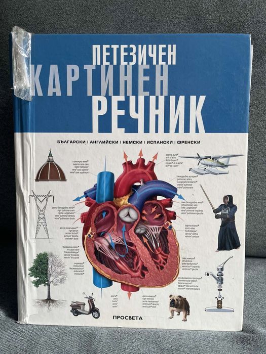 Петезичен картинен речник