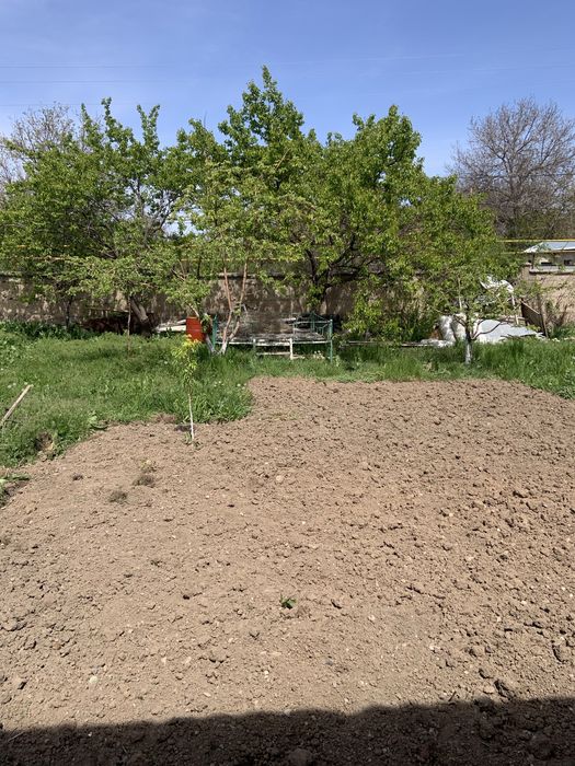 Үй, магазин, Балықхана Сатылады