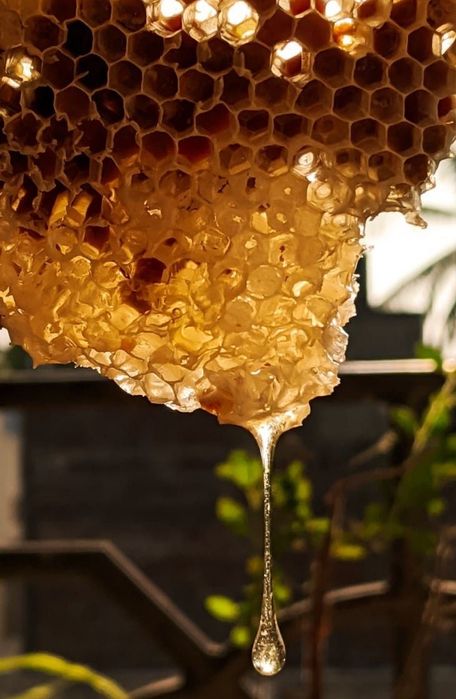 Nanay tabiiy toğ asali