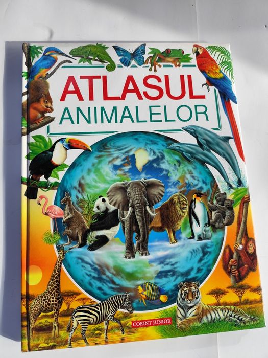 Carti ilustrate pentru copii