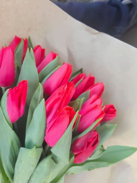 Тюльпаны только оптом