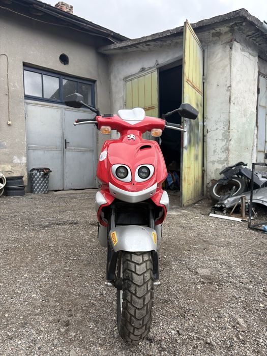 Peugeot tkr rally victories