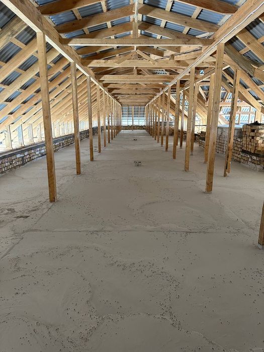 Tom Pena lomboz penabeton Tom shuvoq loy boyish orniga