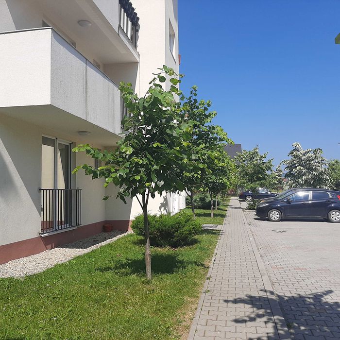 Apartament de inchiriat Rasnov,jud. Brasov