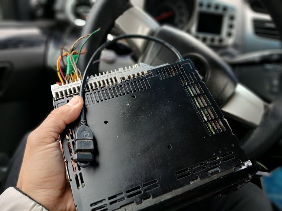 Pioneer delfin mafon