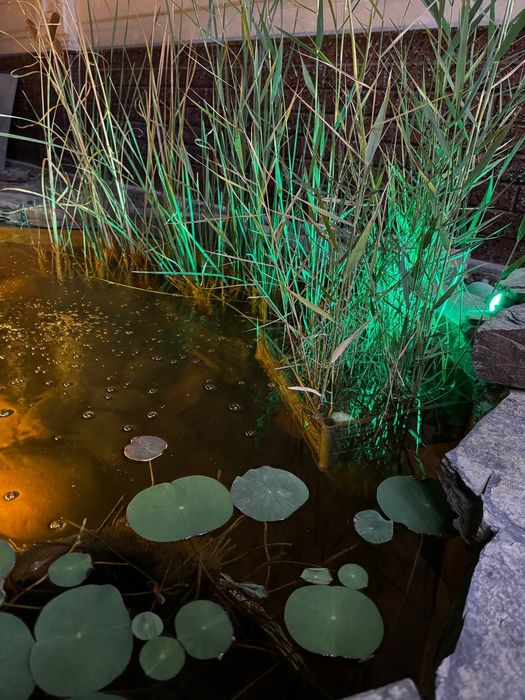 Постройка декоративных прудов