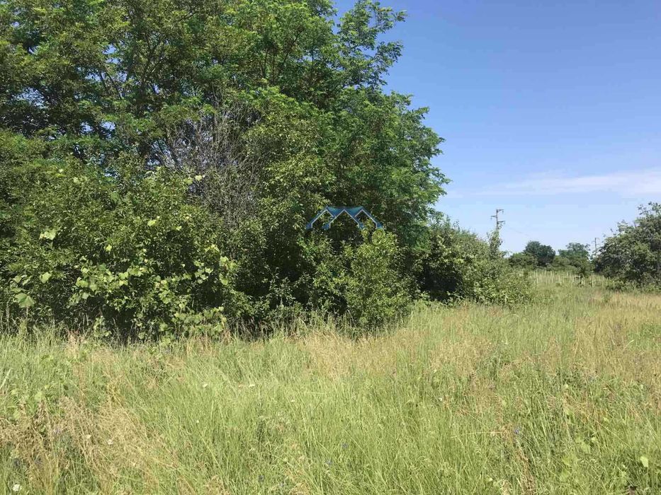 Продава се Парцел в с. Приселци, Област Варна - 2491 кв.м за 23 €/кв.м - Снимка #2