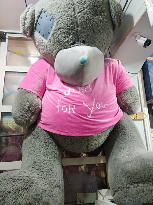 Teddi Teddiy Orginal Eng ARZON Narxlarda Xitoy