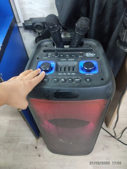 Калонка  Sing-e (ZQS10208)