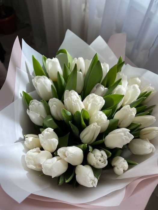 Тюльпаны по 680.