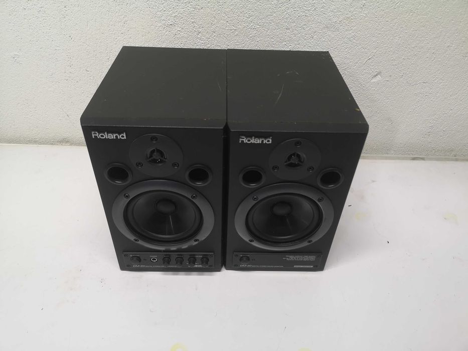 Тонколони -  Roland DM-20